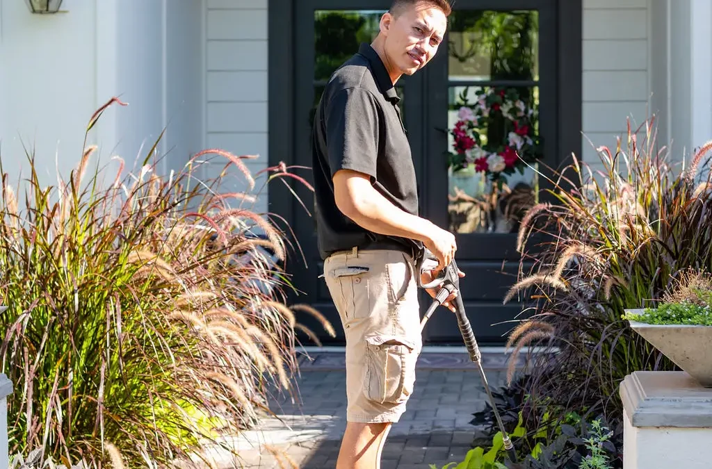 Paver Cleaning in Mesa, Arizona: Restore Your Outdoor Living Space