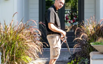 Paver Cleaning in Gilbert, AZ: Protect Your Investment From Arizona Wear