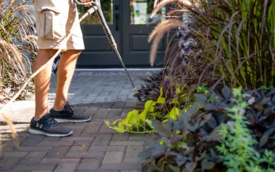 Fall Paver Sealing in Phoenix: Why October Is an Ideal Time to Protect Your Pavers