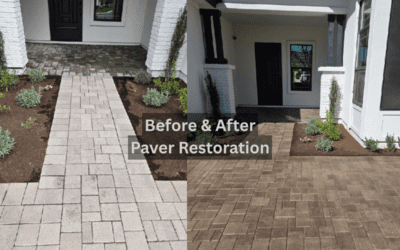 Phoenix Paver Cleaning Before the Holidays: Outdoor Spaces Guests Will Love